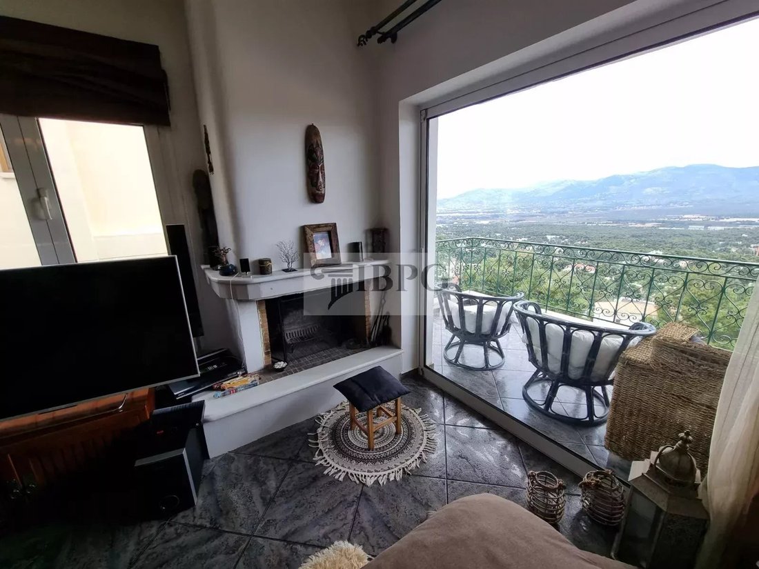 Ekali, Attica, Greece 3 - 15230414