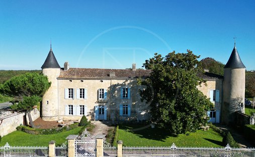 Castle in Bordeaux, Nouvelle-Aquitaine, France 1