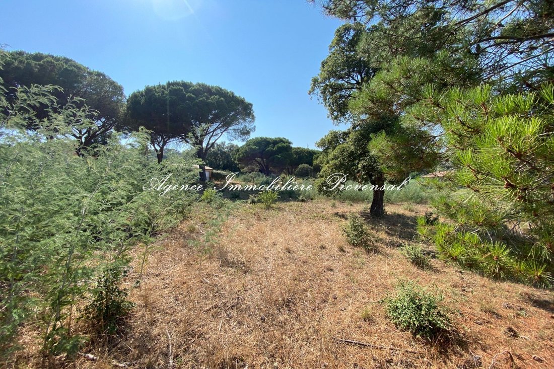 Sainte-Maxime, Provence-Alpes-Côte d'Azur, France 4 - 15232418
