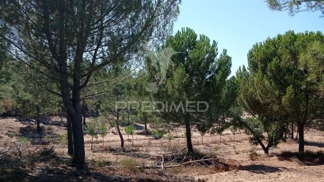 Farm Ranch in Corroios, Portugal 2 - 15096641