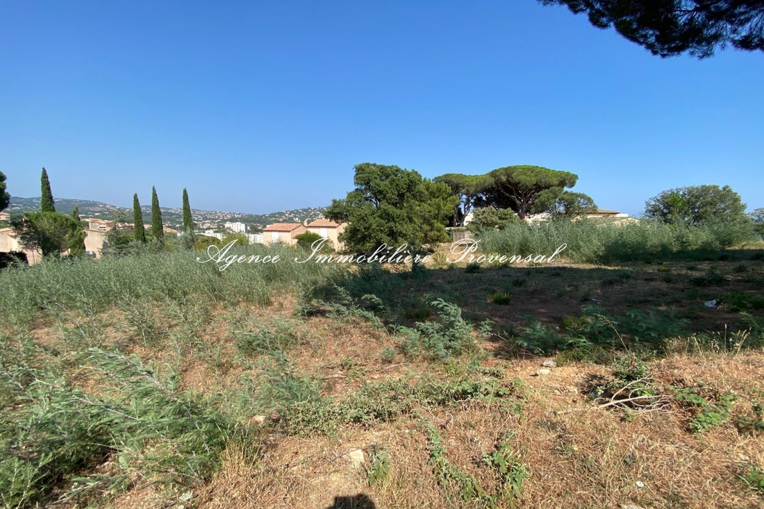 Sainte-Maxime, Provence-Alpes-Côte d'Azur, France 1 - 15232418