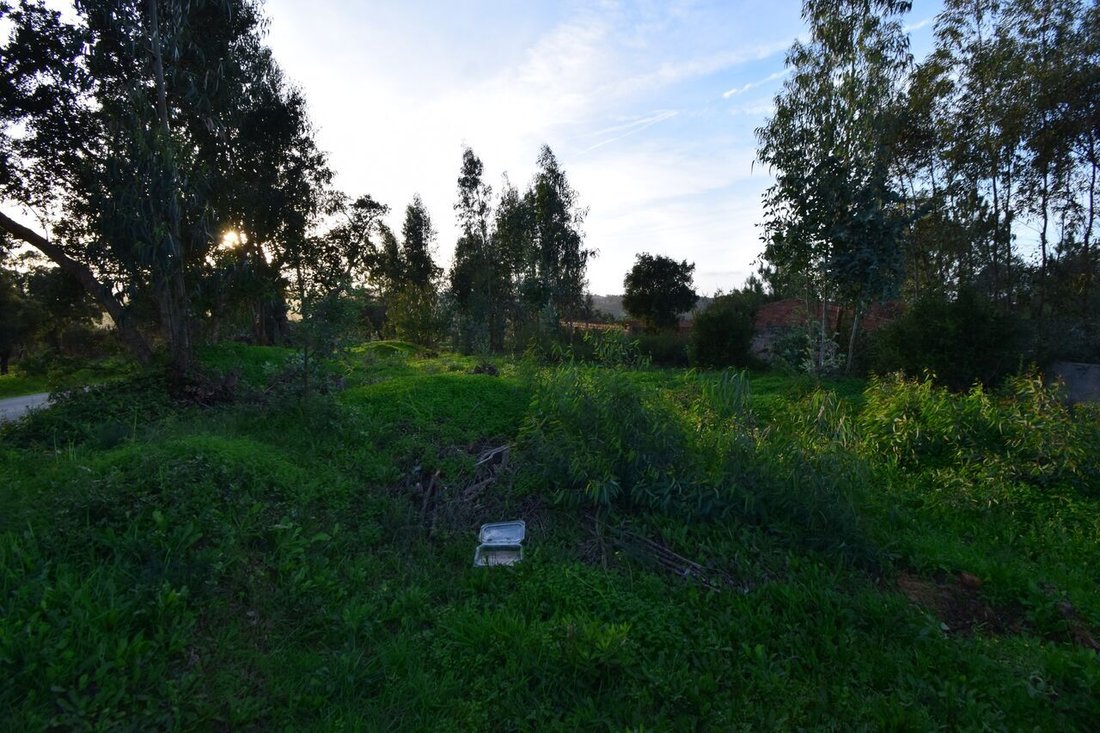 Land in Azambuja, Lissabon, Portugal 5 - 15233939