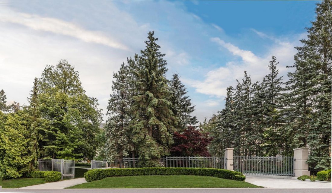 House in Toronto, Ontario, Canada 3 - 15233161