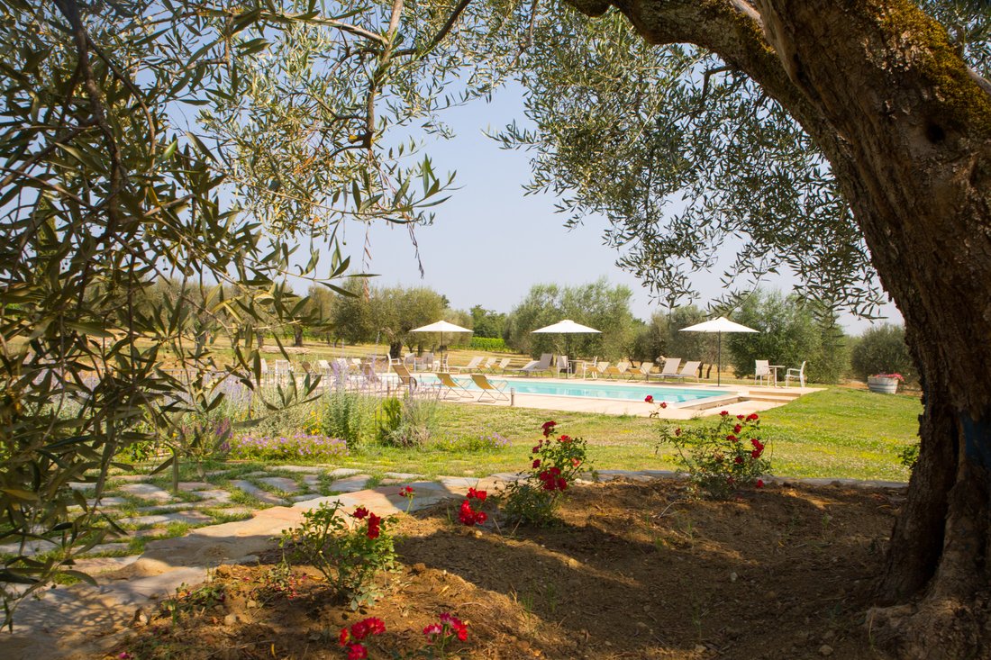 Domaine à Sarteano, Toscane, Italie 4 - 15231805