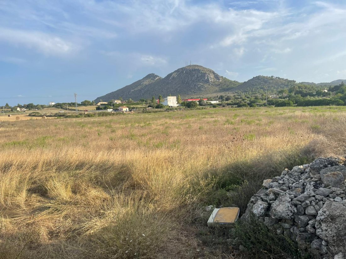 Land in Alcúdia, Balearische Inseln, Spanien 5 - 15231408