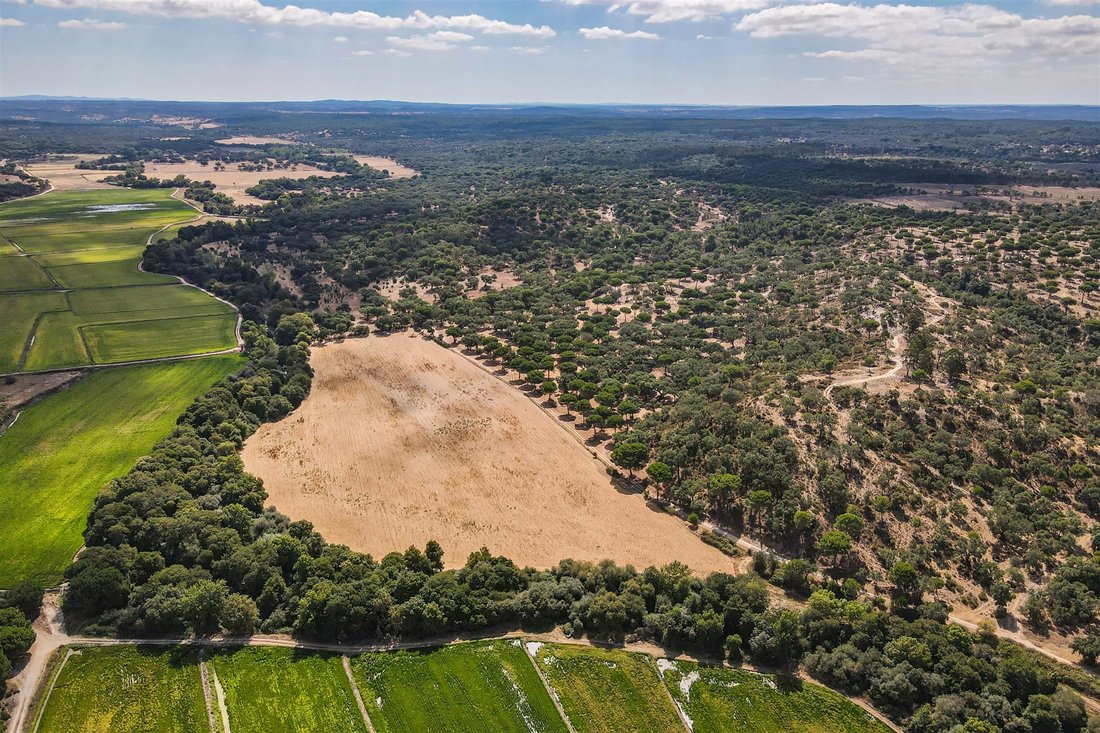 Farm Ranch in Cabrela, Évora District, Portugal 3 - 12237375