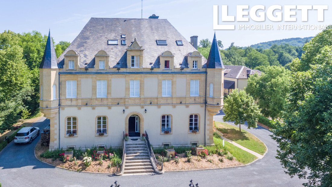 Castle in Montignac-Lascaux, Nouvelle-Aquitaine, France 2 - 14330775