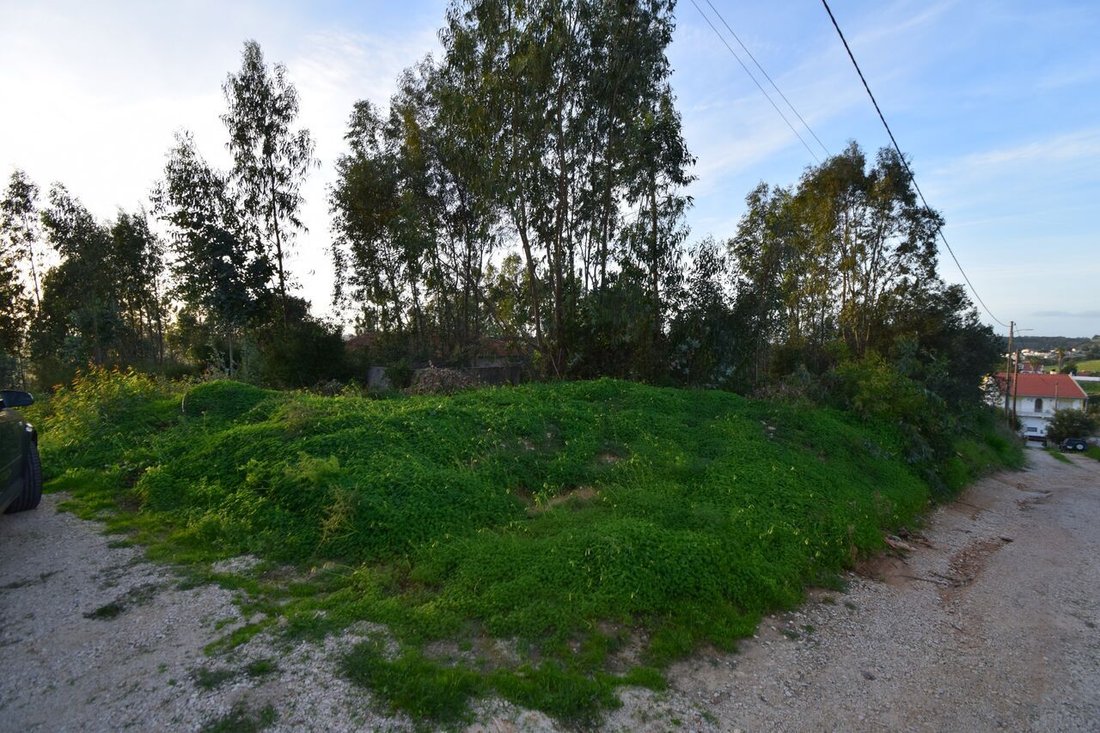Land in Azambuja, Lissabon, Portugal 4 - 15233939