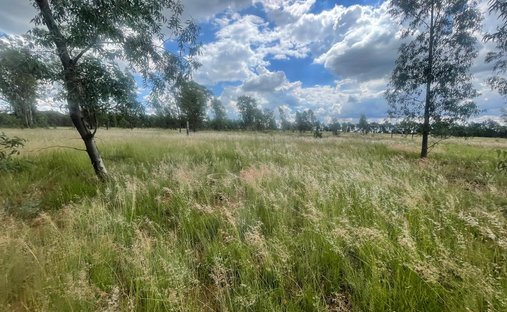 Land in Eikenhof, Gauteng, South Africa 1