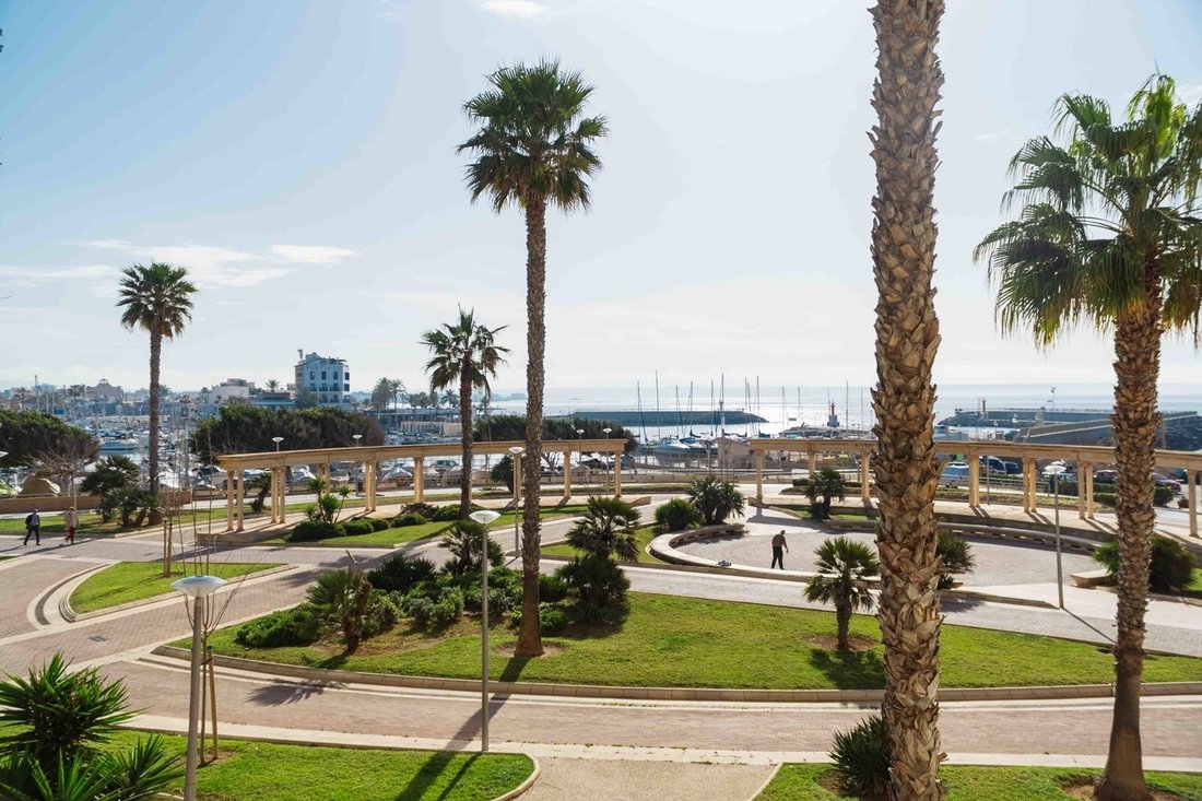 Apartment in Palma, Balearic Islands, Spain 4 - 15237792