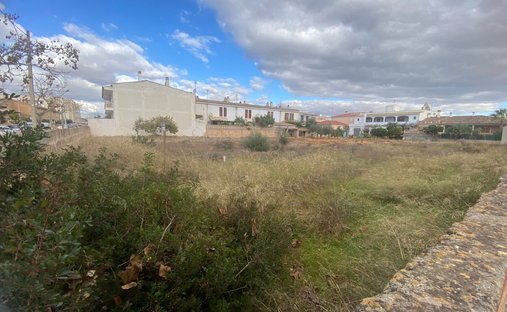Land in Palma, Balearische Inseln, Spanien 1