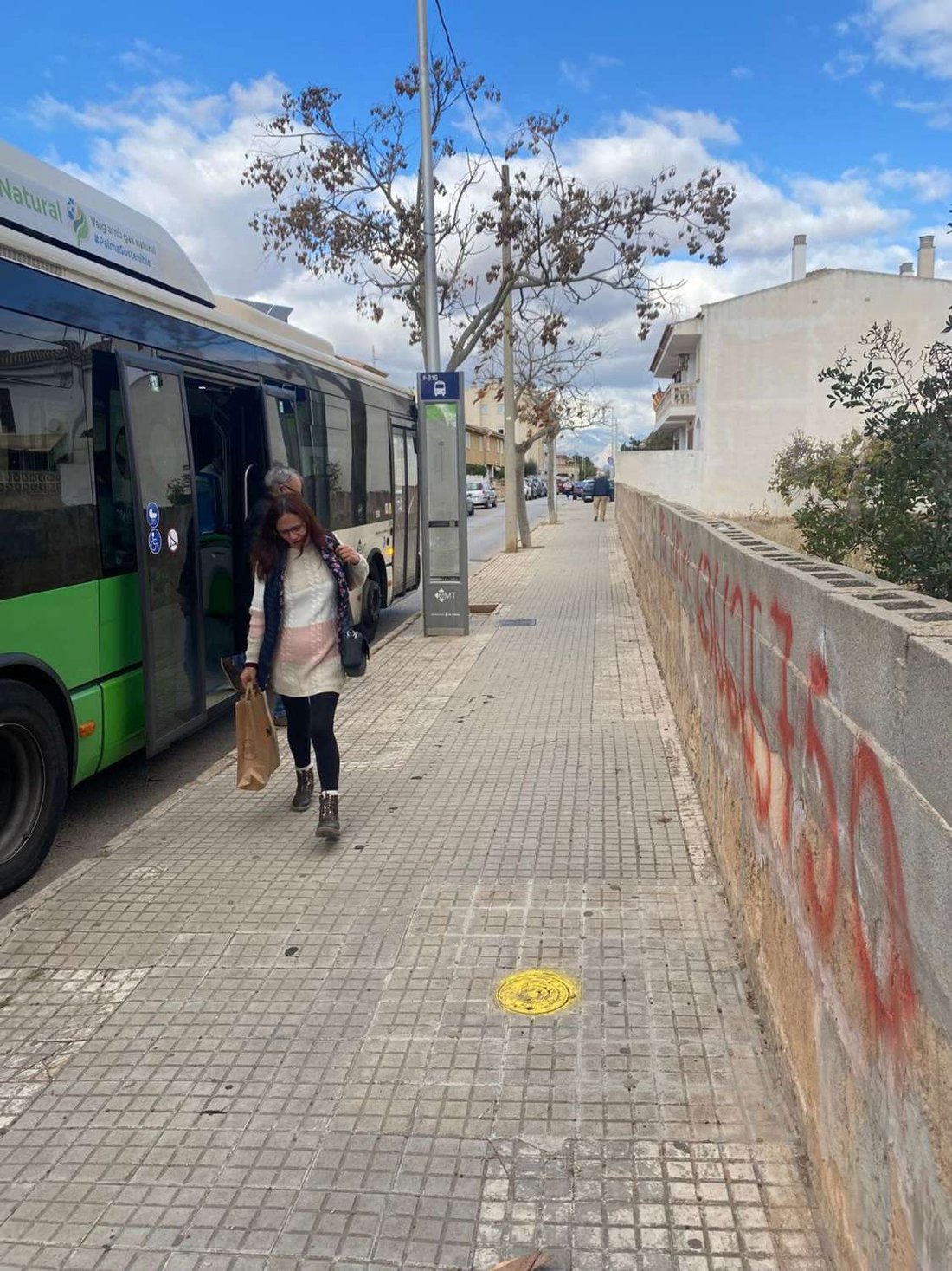 Terreno a Palma di Maiorca, Isole Baleari, Spagna 3 - 15237149