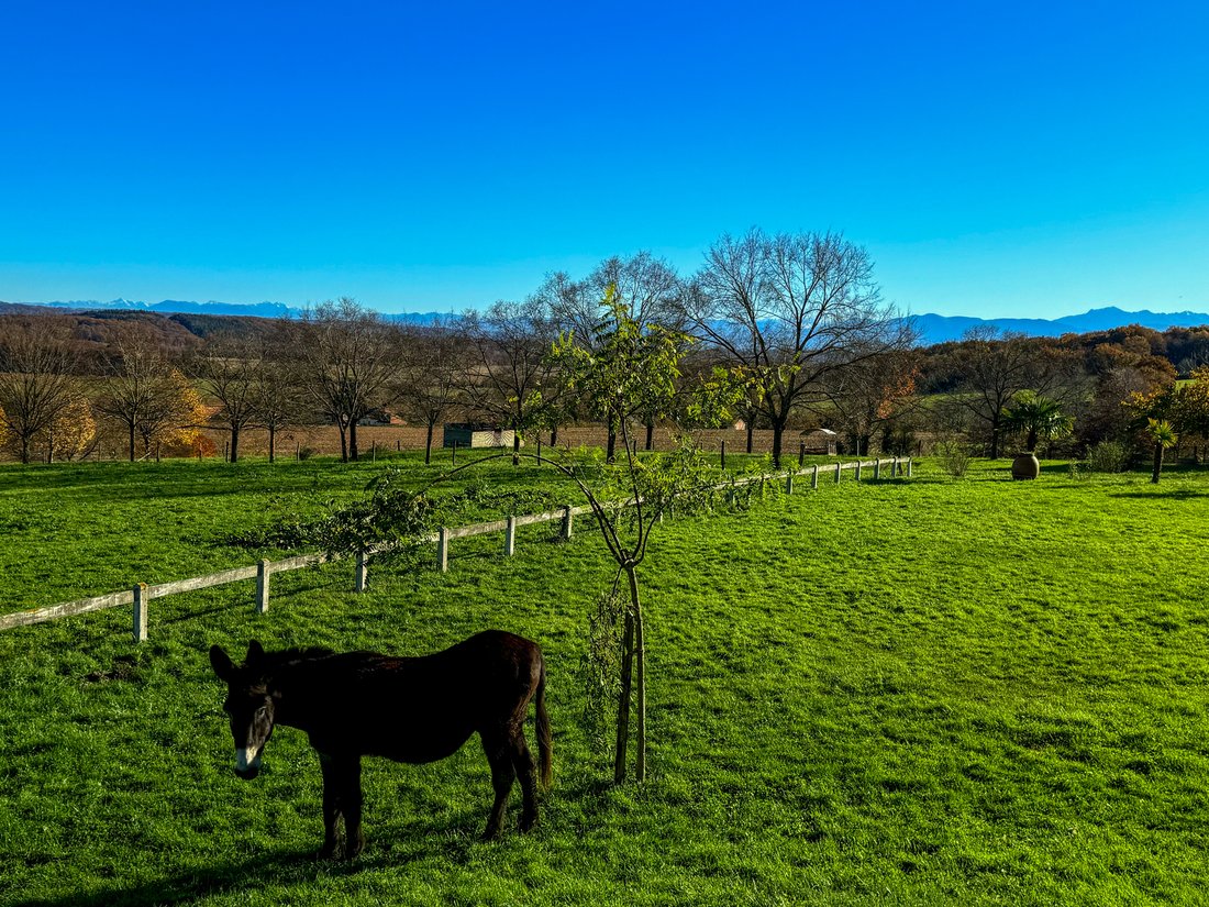 Country House in Centre-Marcadieu-Marne, Tarbes, France 4 - 15241265