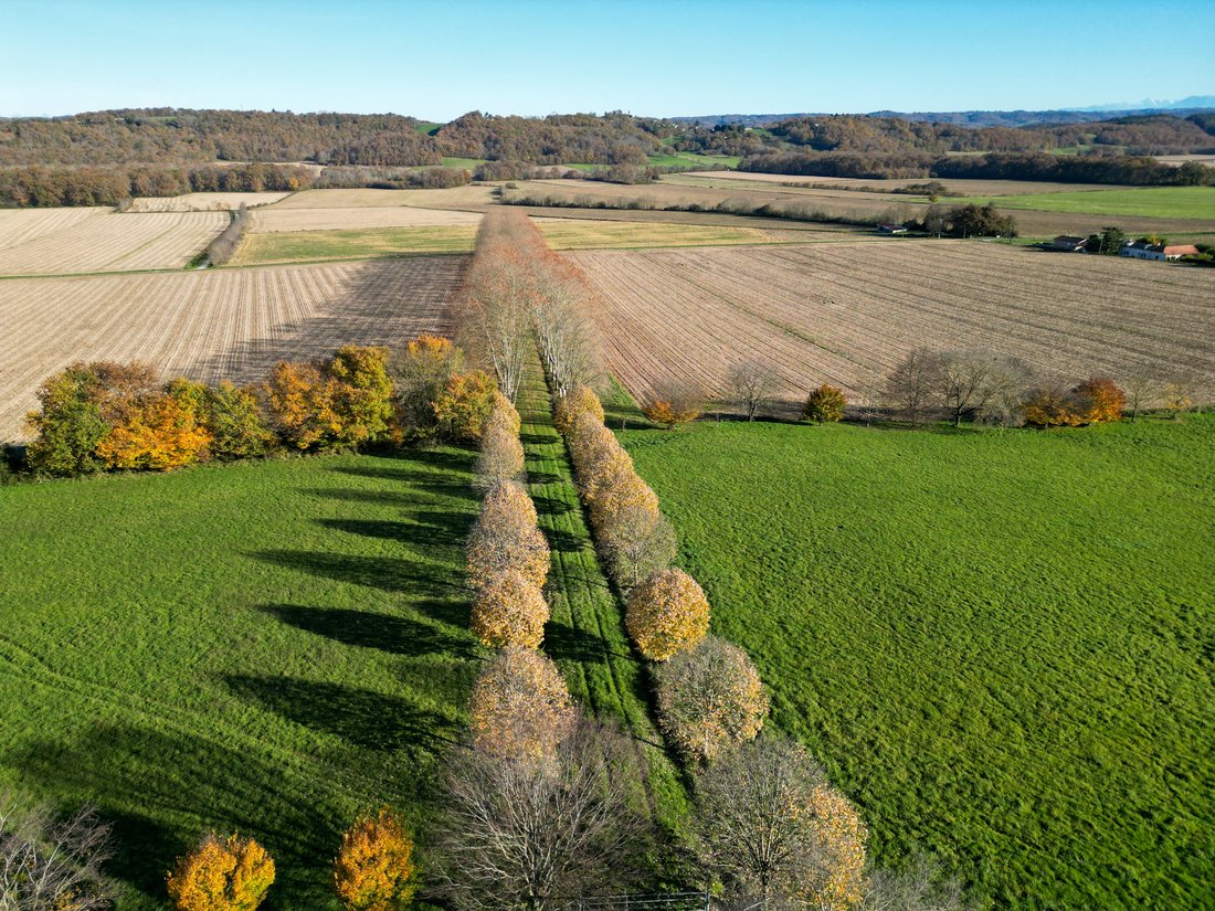 Country House in Centre-Marcadieu-Marne, Tarbes, France 3 - 15241265