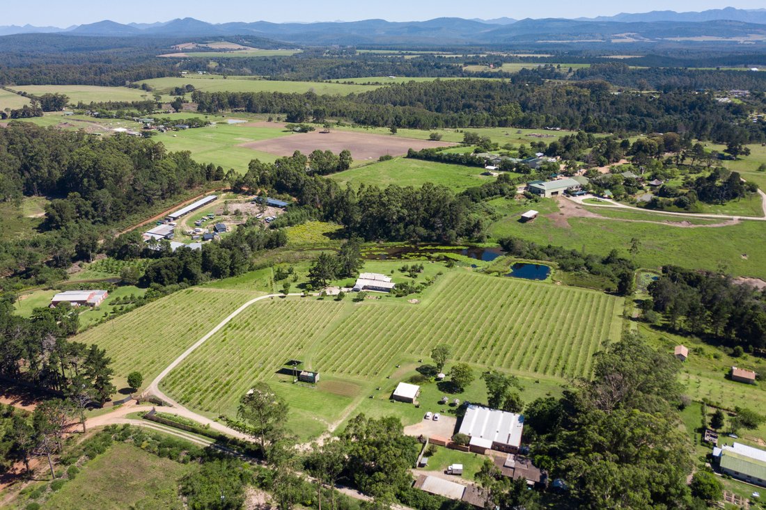 Farm Ranch in Plettenberg Bay, Western Cape, South Africa 1 - 15241639