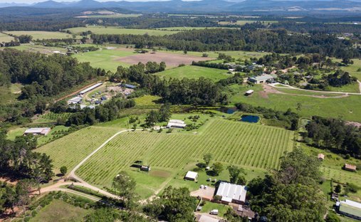 Farm Ranch in Plettenberg Bay, Western Cape, South Africa 1