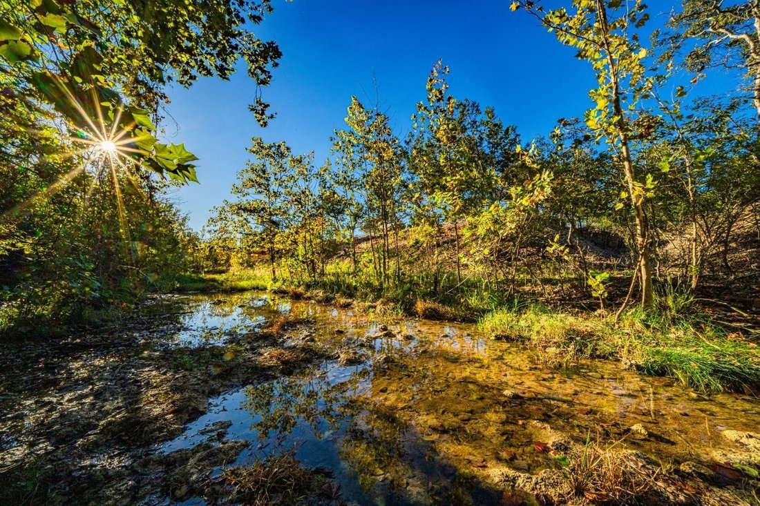 Farm Ranch in Salado, Texas, United States 1 - 15244654