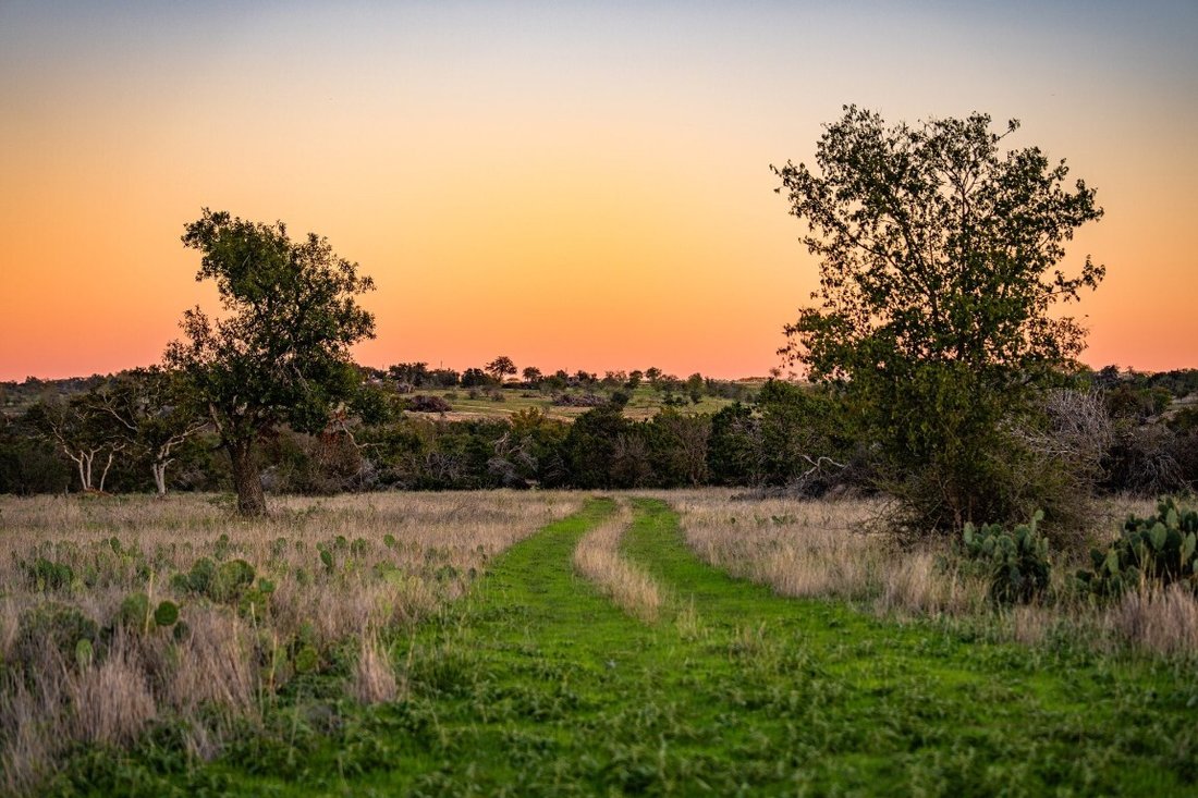 Farm Ranch in Salado, Texas, United States 4 - 15244654