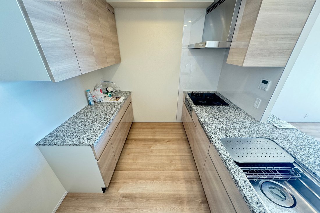 Condo in Koto City, Tokyo, Japan 5 - 14944396