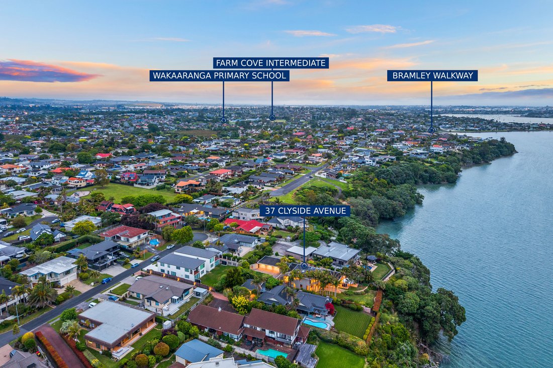 House in Auckland, Auckland, New Zealand 4 - 15245741