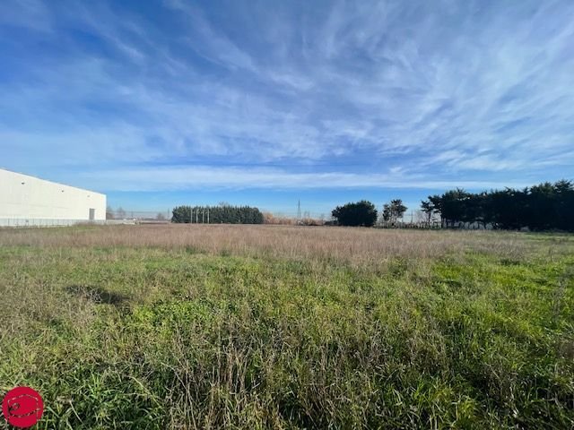 Land in Longiano, Emilia-Romagna, Italy 4 - 12513741