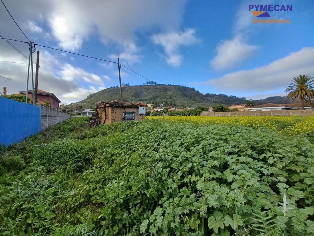 Land in San Cristobal de La Laguna, Canary Islands, Spain 5 - 15246948