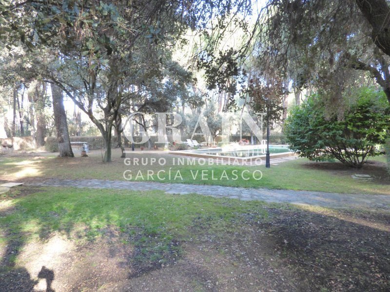 Chalet in Albacete, Castile-La Mancha, Spain 4 - 15246995