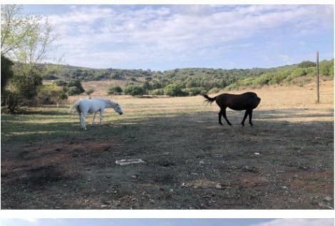 Finca in San Martin del Tesorillo, Andalusia, Spain 4 - 12824404