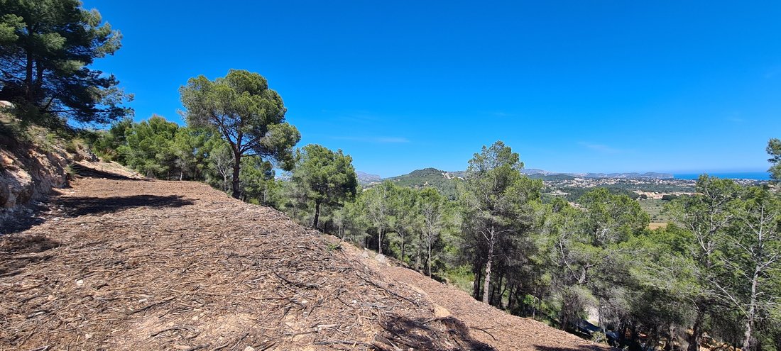 Land in Calp / Calpe, Valencian Community, Spain 4 - 15247522
