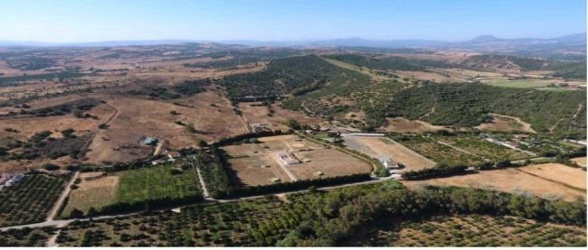 Finca in San Martin del Tesorillo, Andalusia, Spain 2 - 12824404