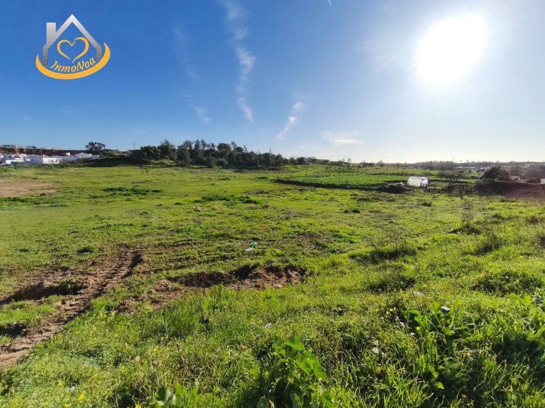 Land in Cartaya, Andalusia, Spain 5 - 15247332
