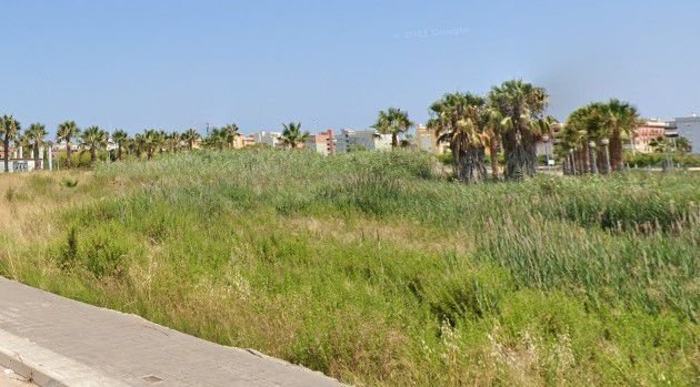 Land in Moncofa, Valencian Community, Spain 5 - 15246916