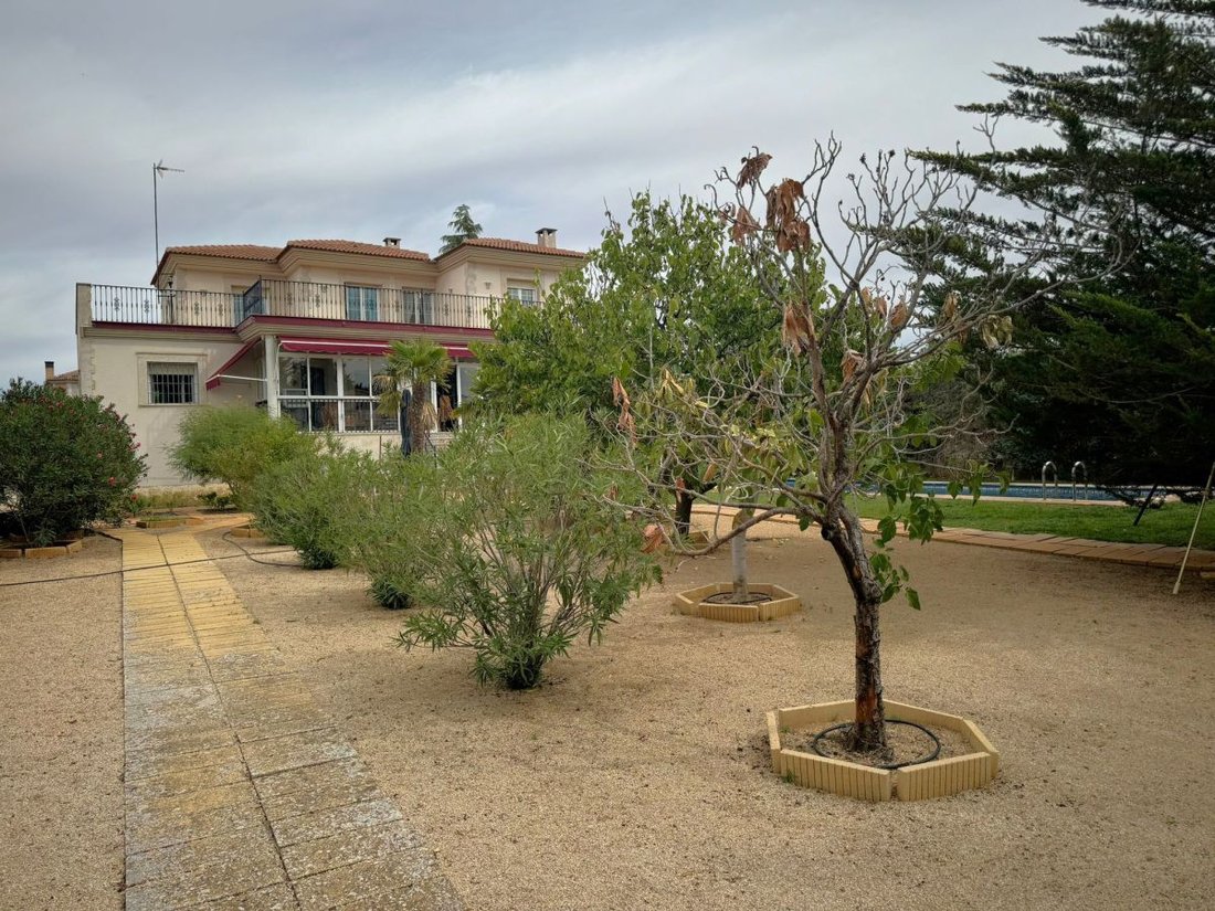 Chalet in Valdepenas, Castile-La Mancha, Spain 3 - 15247532