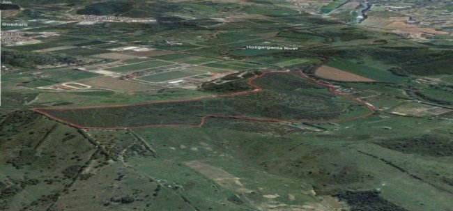 Finca in San Martin del Tesorillo, Andalusia, Spain 1 - 12824404