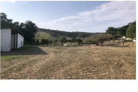 Finca in San Martin del Tesorillo, Andalusia, Spain 5 - 12824404