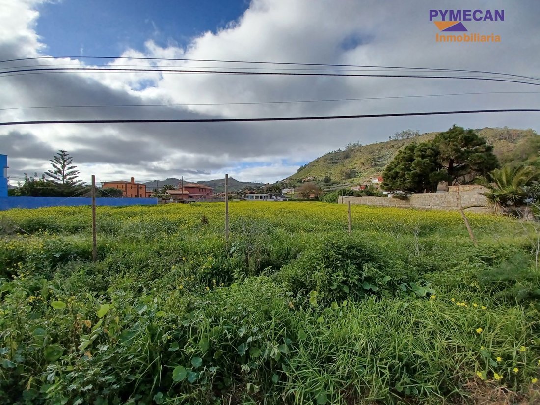 Land in San Cristobal de La Laguna, Canary Islands, Spain 3 - 15246948