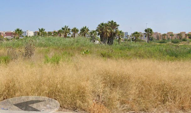 Land in Moncofa, Valencian Community, Spain 3 - 15246916