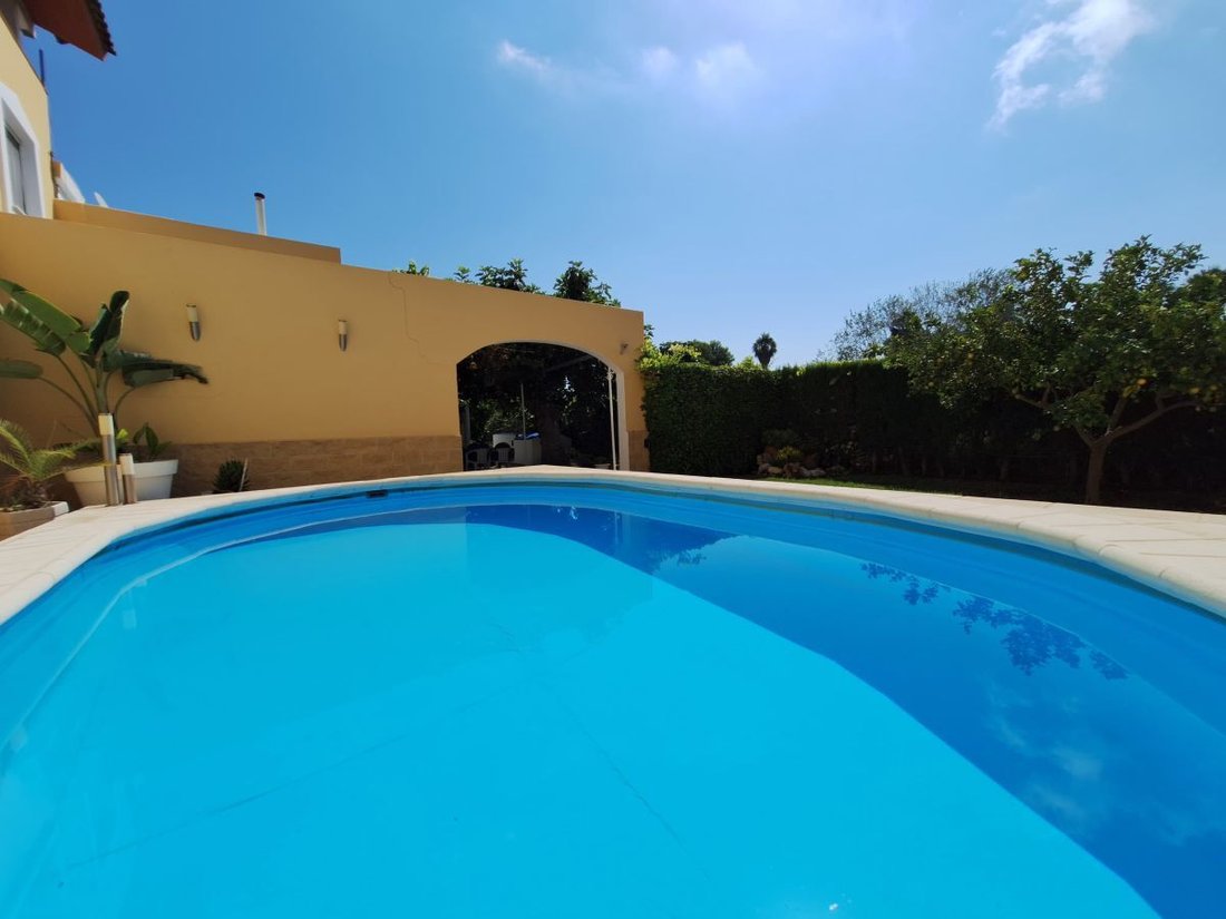 Andere in Oliva, Land Valencia, Spanien 4 - 15247690