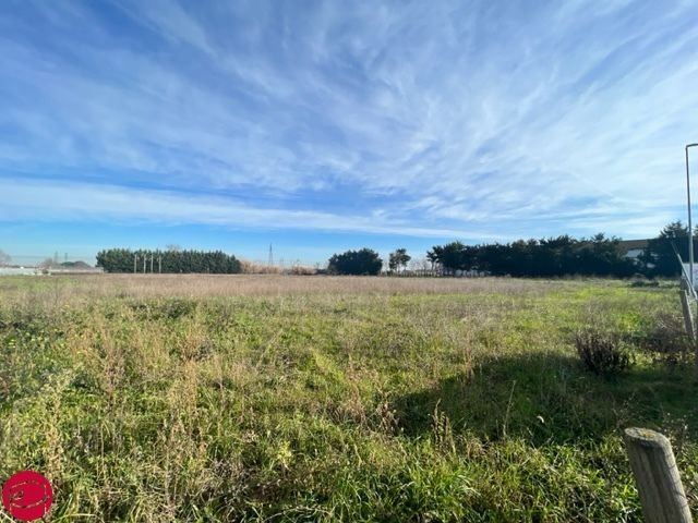 Land in Longiano, Emilia-Romagna, Italy 2 - 12513741