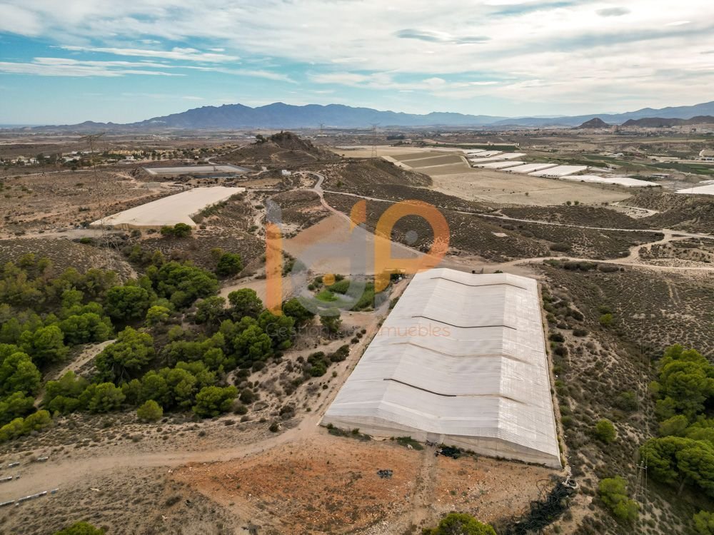 Land in Cuevas del Almanzora, Andalusia, Spain 3 - 15247471