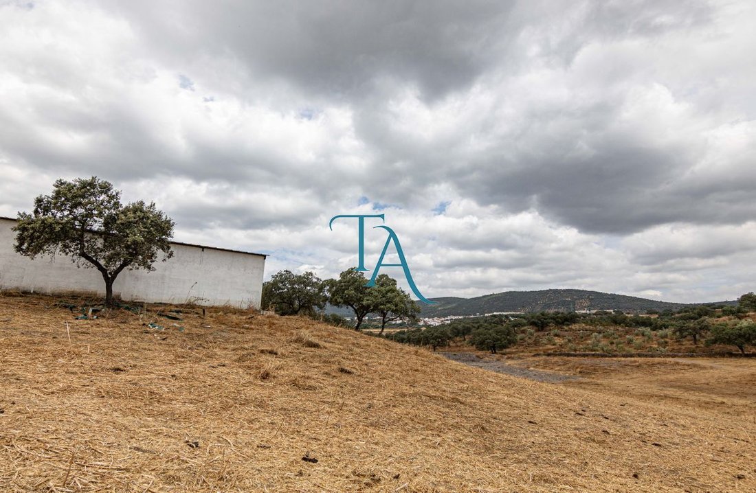 Finca in Canaveral de Leon, Andalusia, Spain 3 - 15246522
