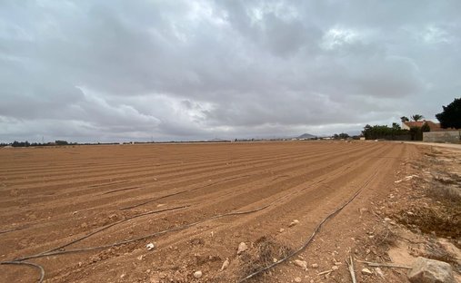 Farm Ranch in El Plan, Cartagena, Spanien 1