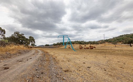 Finca a Cañaveral de León, Andalusia, Spagna 1