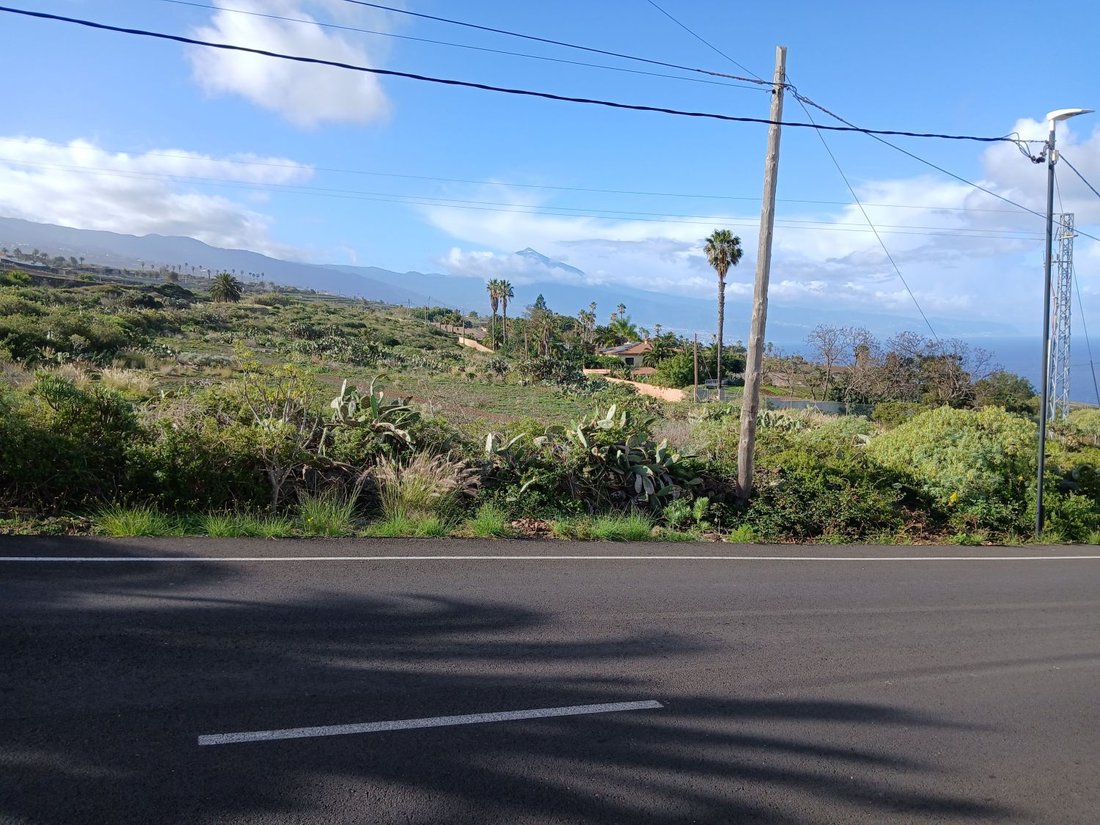 Farm Ranch in Tacoronte, Canary Islands, Spain 5 - 15246410
