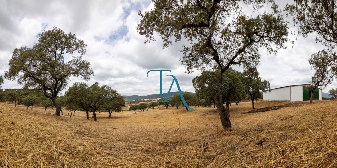 Finca in Canaveral de Leon, Andalusia, Spain 5 - 15246522