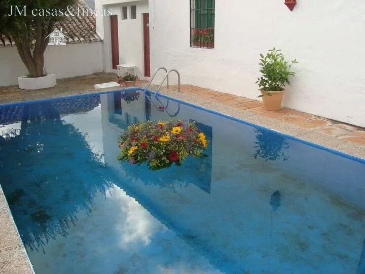 Farm Ranch in Ronda, Andalusia, Spain 2 - 15247545