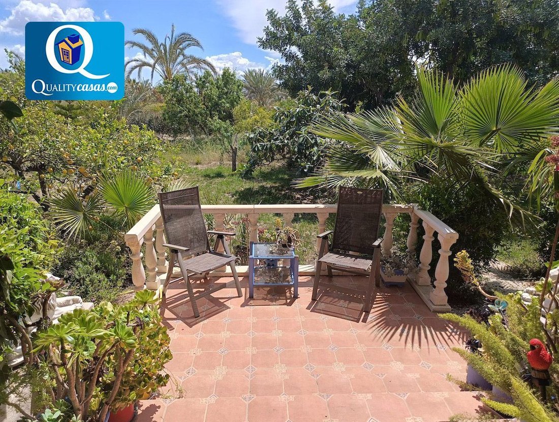 Chalet in Elx / Elche, Valencian Community, Spain 5 - 15248552