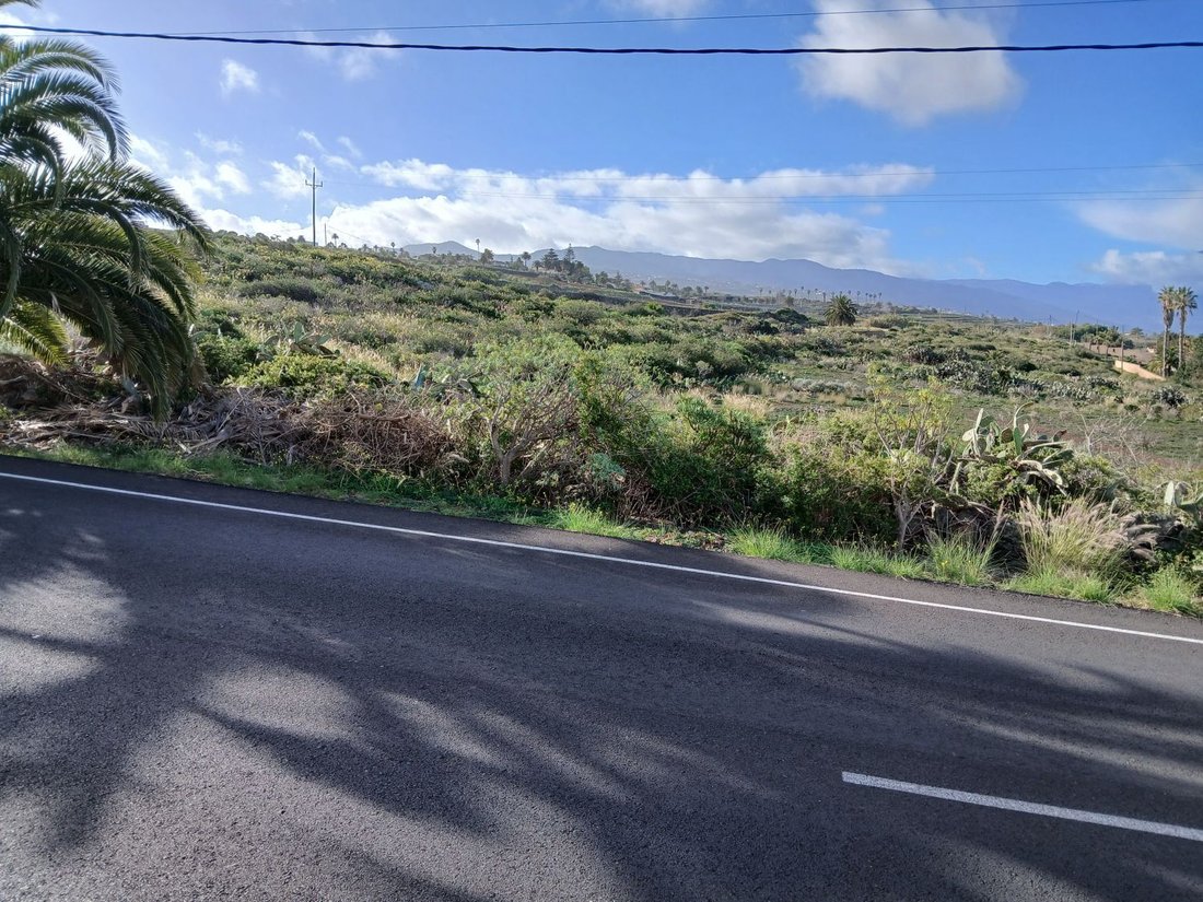 Farm Ranch in Tacoronte, Canary Islands, Spain 1 - 15246410