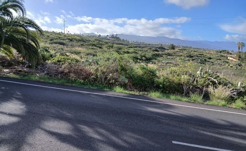 Azienda agricola a Tacoronte, Isole Canarie, Spagna 1