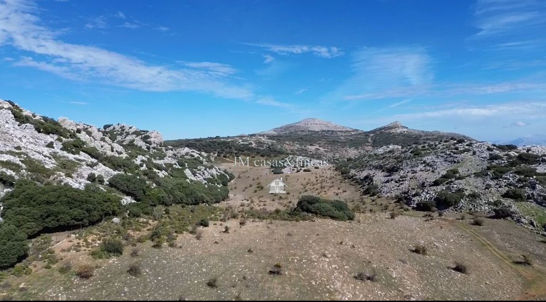 Rancho en Ronda, Andalucía, España 1 - 15247520